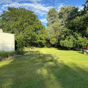 yard care by Forever Young Landscaping LLC reviewed on August 21, 2025