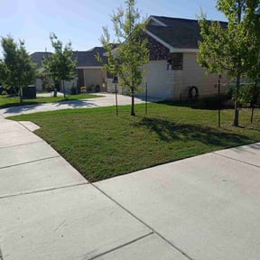 yard care by Jay's Resource reviewed on August 21, 2025