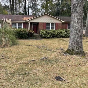 Leaf Removal by 618'S Snappin Out Lawn Care reviewed on November 28, 2025