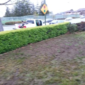 Bush Trimming by M&J LawnService LLC reviewed on August 15, 2025