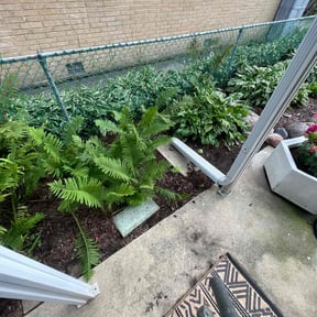 Flower Bed Weeding by AS7longstar reviewed on November 20, 2025