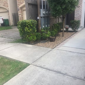 Bush Trimming by Just us landscaping LLC reviewed on August 21, 2025