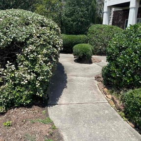 Bush Trimming by Lowcountry Landscape and Design LLC reviewed on May 2, 2024