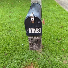 yard maintenance by Grinins reviewed on August 21, 2025