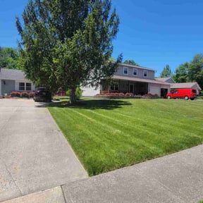 landscaping services by Alpha Landscape & Design reviewed on August 20, 2025