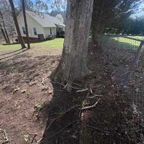 Leaf Removal by Three Bears Lawn Care (West Delivery) reviewed on April 22, 2026