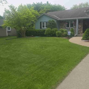 yard work by Oleg's Lawn Services reviewed on August 19, 2025