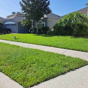 yard service by Carolina dogwood lawn care and landscaping reviewed on August 19, 2025