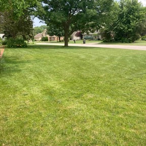 yard service by LawnFi reviewed on August 15, 2025