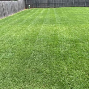 landscaping by Pologreen reviewed on November 30, 2025