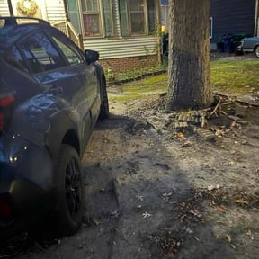 Leaf Removal by New Day Lawns reviewed on October 22, 2025