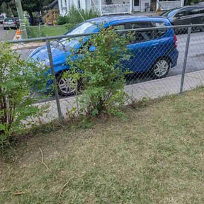 Bush Trimming by USA Lawncare reviewed on August 29, 2026