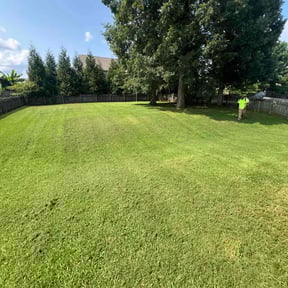 yard service by YMS LLC reviewed on August 18, 2025
