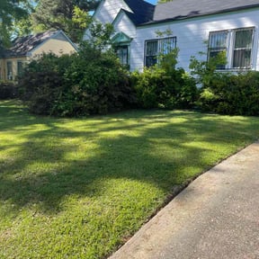 turf care by Lawn Care reviewed on May 16, 2025