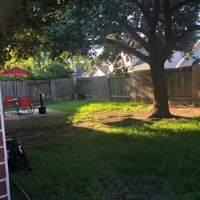 Leaf Removal by CRM Services reviewed on September 23, 2025