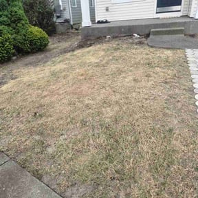 Flower Bed Weeding by gscutz reviewed on August 20, 2026