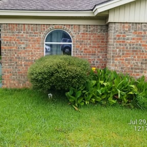 Bush Trimming by Jae The Gardener reviewed on August 20, 2025