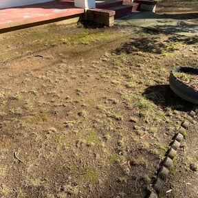 Leaf Removal by KevnLori Professional Lawn Care LLC reviewed on September 29, 2025