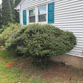 lawn maintenance by R and R lawn care reviewed on May 15, 2024