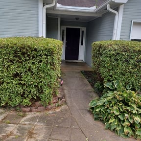 Bush Trimming by Darrttttttt's lawncare LLC reviewed on August 16, 2025