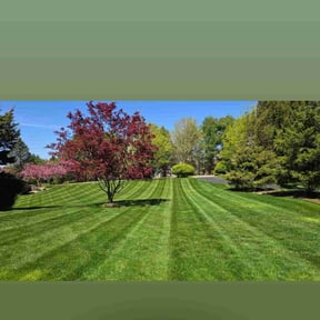 gardening service by Livery Services LTD, llc reviewed on August 21, 2025