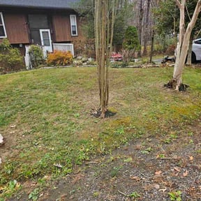 Leaf Removal by Clean sheen green reviewed on September 13, 2026