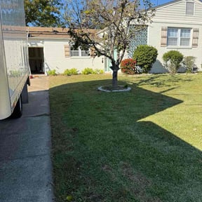 Leaf Removal by Blessings Lawn Care Services reviewed on October 22, 2025
