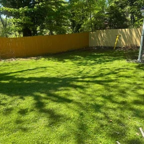 yard work by Landscape Management reviewed on August 15, 2025