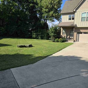 turf care by Vertical Lawn Care reviewed on August 21, 2025