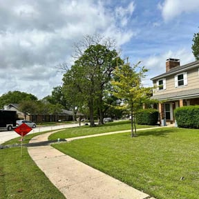 residential landscaping by JJ’s Lawn Service reviewed on August 19, 2025