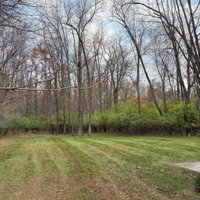 Leaf Removal by Exquisite Lawn &amp; Grounds reviewed on November 18, 2025