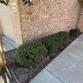 Bush Trimming by Brightside Landscaping reviewed on October 22, 2025