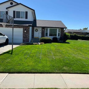 yard care by Javier’s Tree Services, LLC reviewed on August 21, 2025