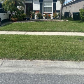 yard care by AB Flores Landscaping reviewed on April 24, 2024