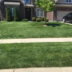 Bush Trimming by shawn's Lawn service reviewed on August 15, 2025