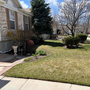 Leaf Removal by Everything and More Thrift LLC reviewed on September 28, 2025