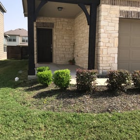 Bush Trimming by Tony's lawn services/Plowing reviewed on August 20, 2025