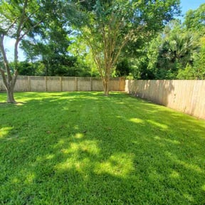 turf care by ASB LAWN MODIFICATION reviewed on August 19, 2025