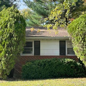 Bush Trimming by Triple S Cuts &amp; Cleanouts reviewed on December 21, 2025