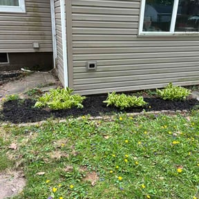 Mulching by CCHS reviewed on May 1, 2026