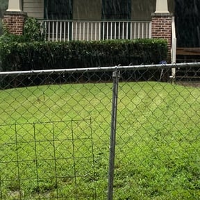 Bush Trimming by Natures Own reviewed on August 20, 2025