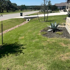 landscaping by Clean Cut Lawn service reviewed on August 20, 2025