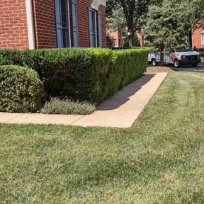 Bush Trimming by So 1000 Lawn and Landscape  reviewed on August 29, 2023