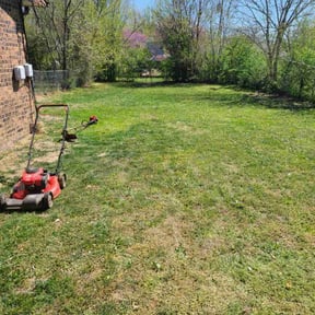 Leaf Removal by VQ Lawn &amp; Home reviewed on September 10, 2025