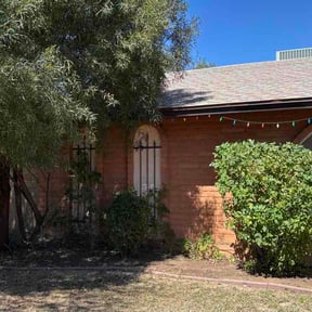 Bush Trimming by Beach cuts reviewed on March 18, 2026