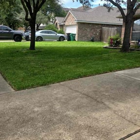 residential landscaping by F.R. landscaping reviewed on August 17, 2025
