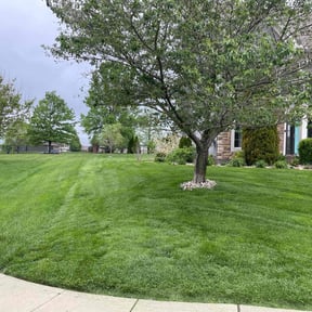 yard work by 316 Lawncare reviewed on August 7, 2025
