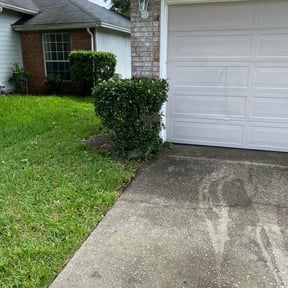 Bush Trimming by First Choice Landscaping of St Augustine reviewed on August 19, 2025