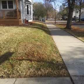 Leaf Removal by East Side Property Services LLC reviewed on September 7, 2025