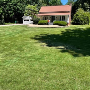 yard maintenance by The Greenerside reviewed on August 17, 2025